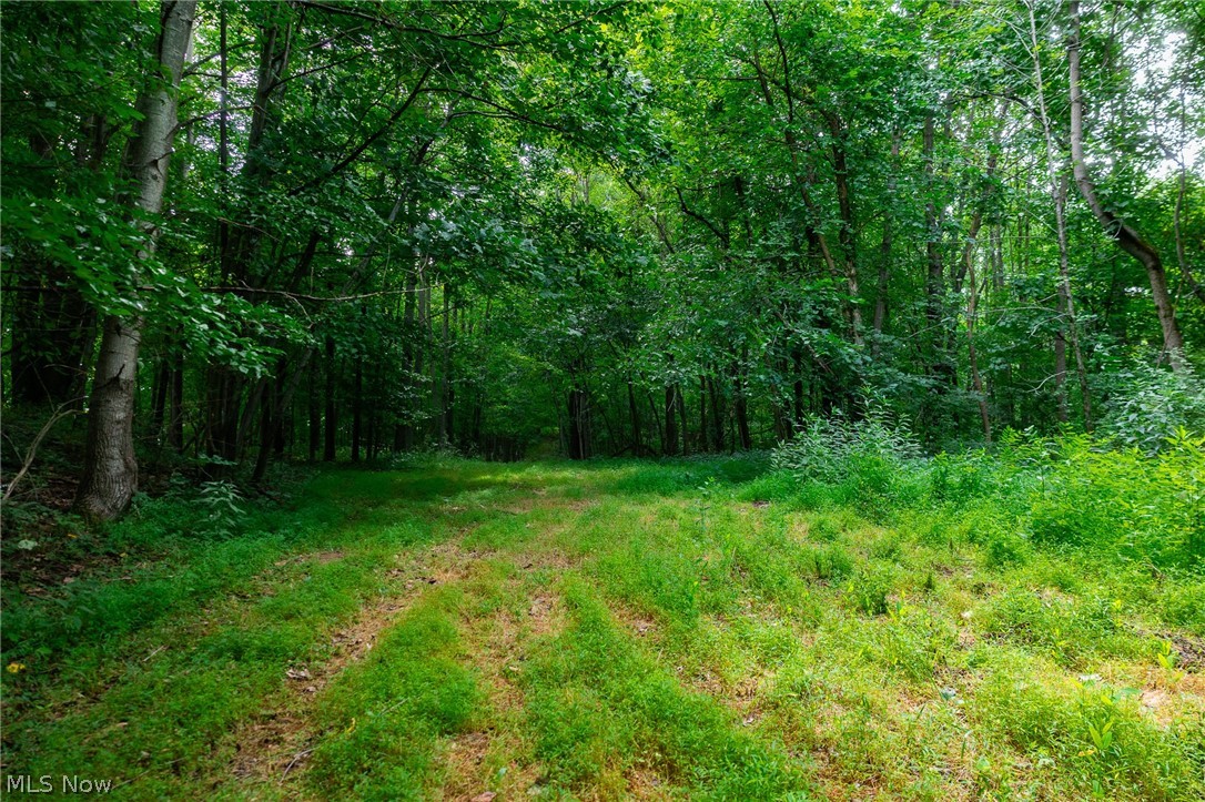 Hill Road Dresden OH 43821