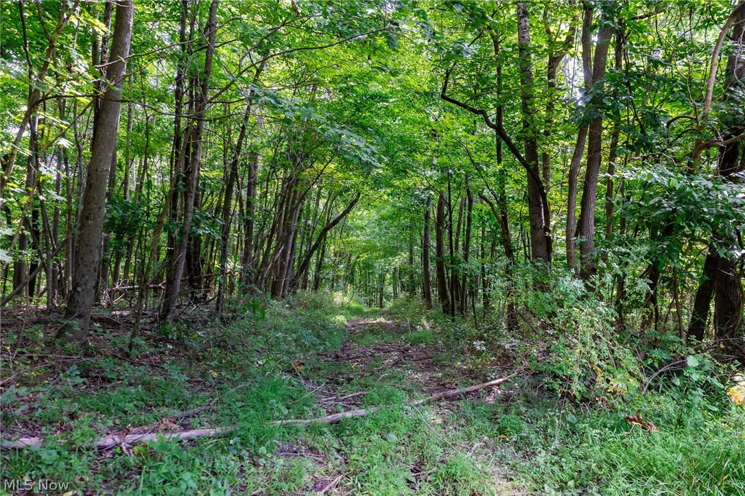 Hill Road Dresden OH 43821