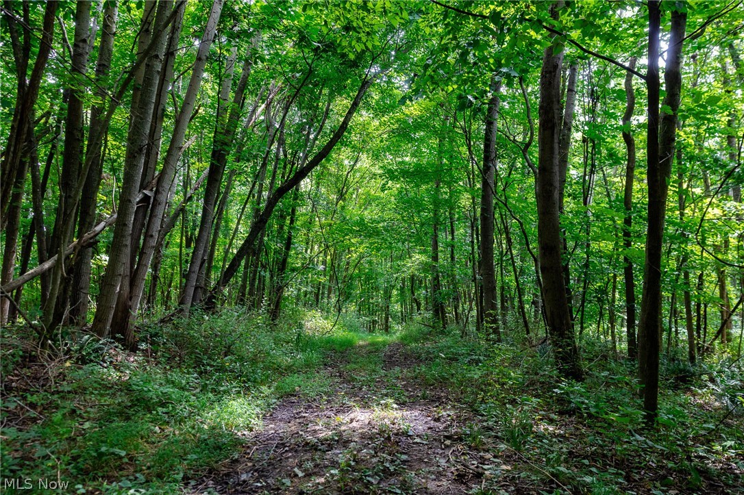 Hill Road Dresden OH 43821