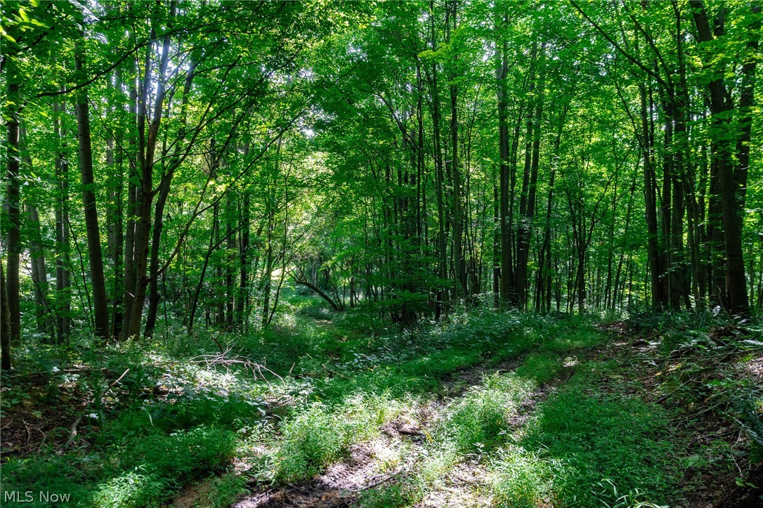 Hill Road Dresden OH 43821