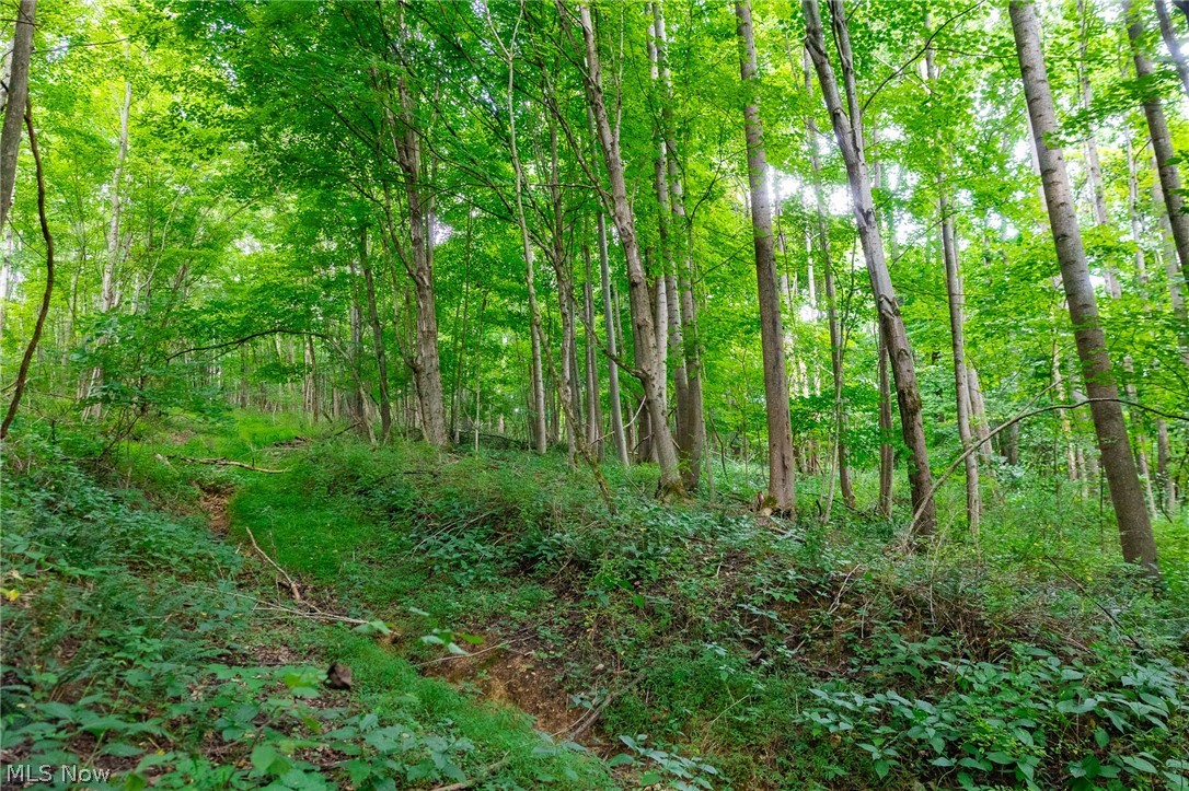 Hill Road Dresden OH 43821