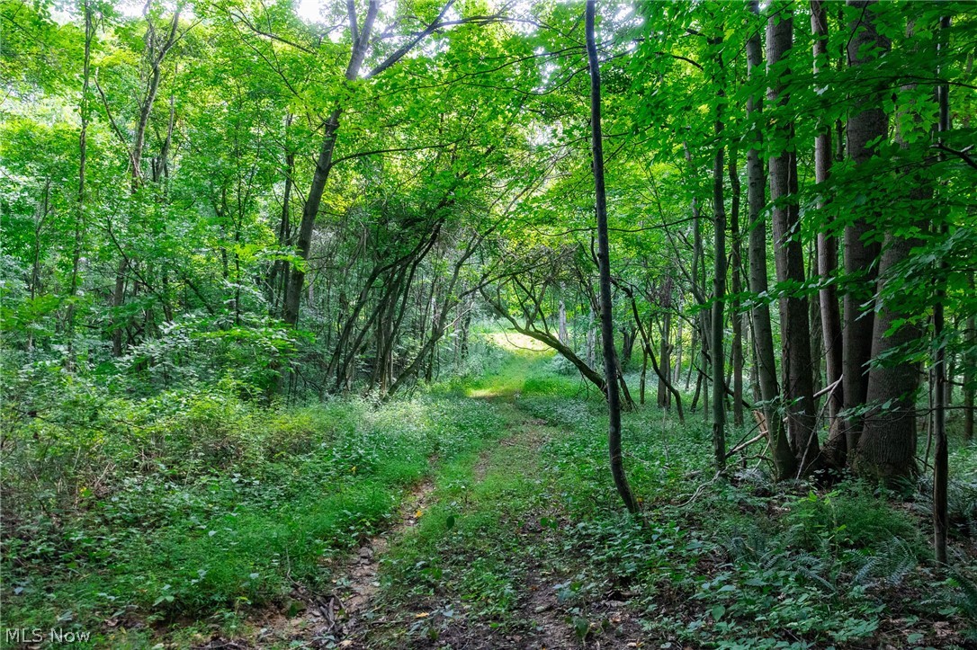 Hill Road Dresden OH 43821