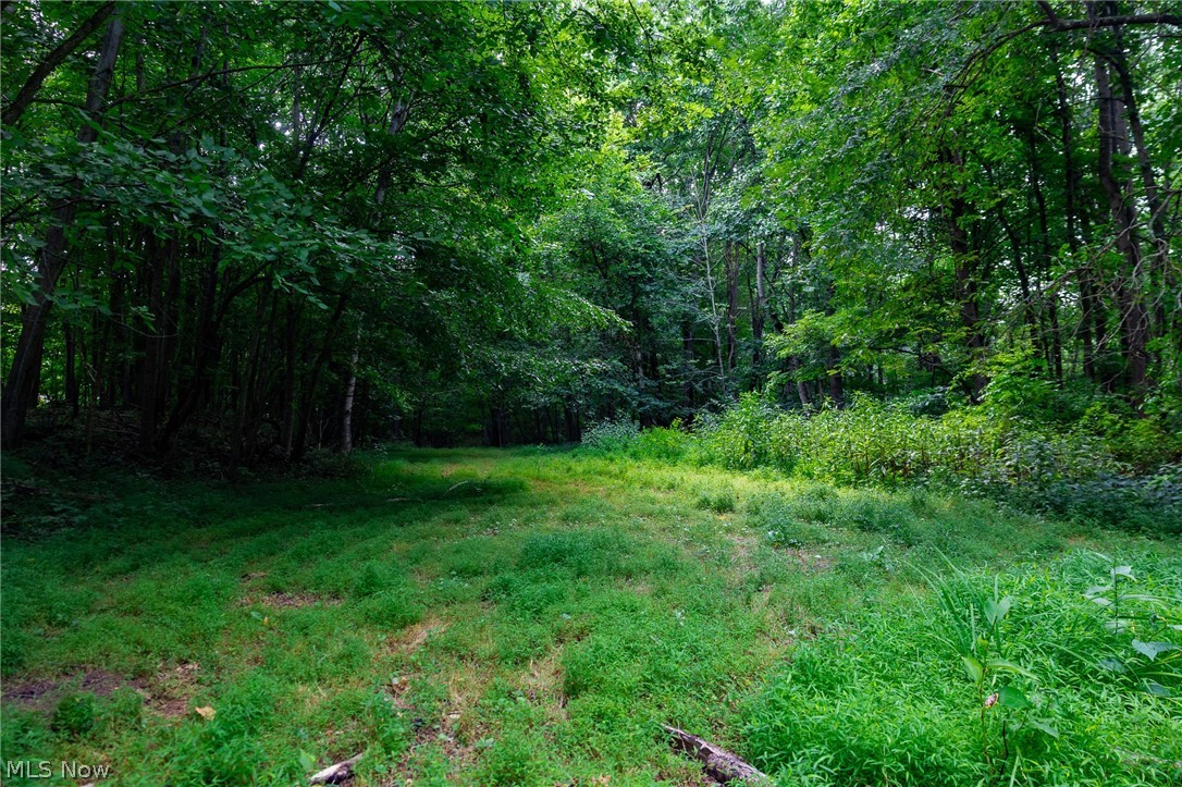 Hill Road Dresden OH 43821