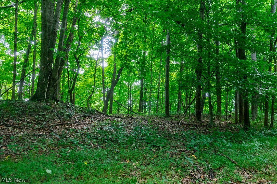 Hill Road Dresden OH 43821