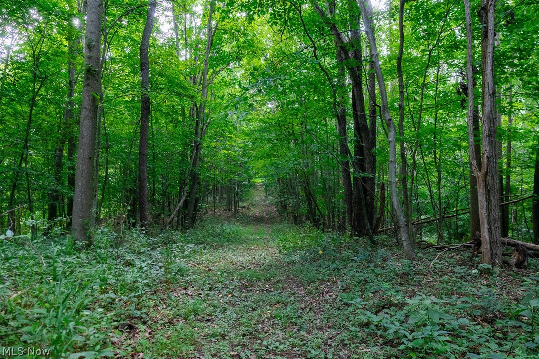 Hill Road Dresden OH 43821
