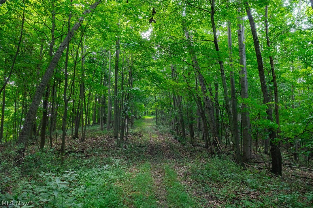 Hill Road Dresden OH 43821