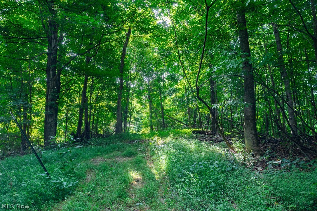 Hill Road Dresden OH 43821