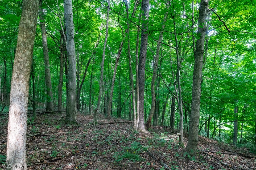 Hill Road Dresden OH 43821