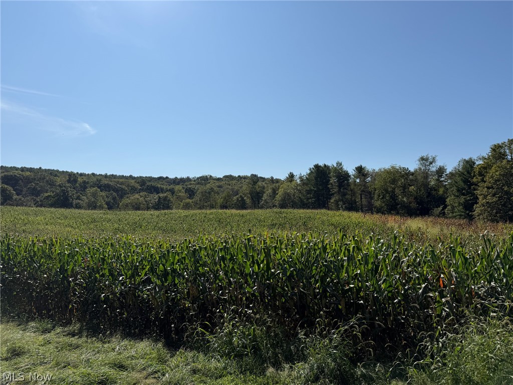 54 Parma Road NE Carrollton OH 44615