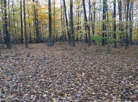 Twp Road 581 Sullivan OH 44880