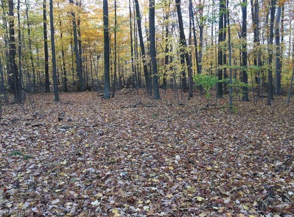 Twp Road 581 Sullivan OH 44880