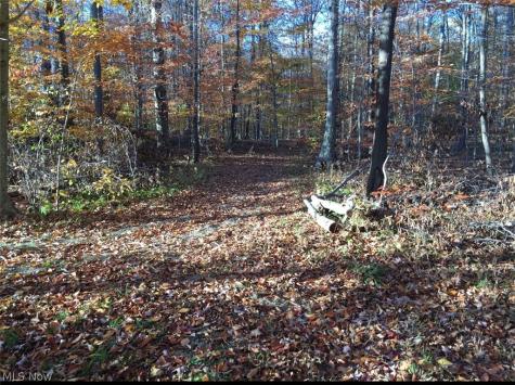 Twp Road 581 Sullivan OH 44880