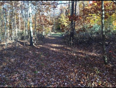 Twp Road 581 Sullivan OH 44880