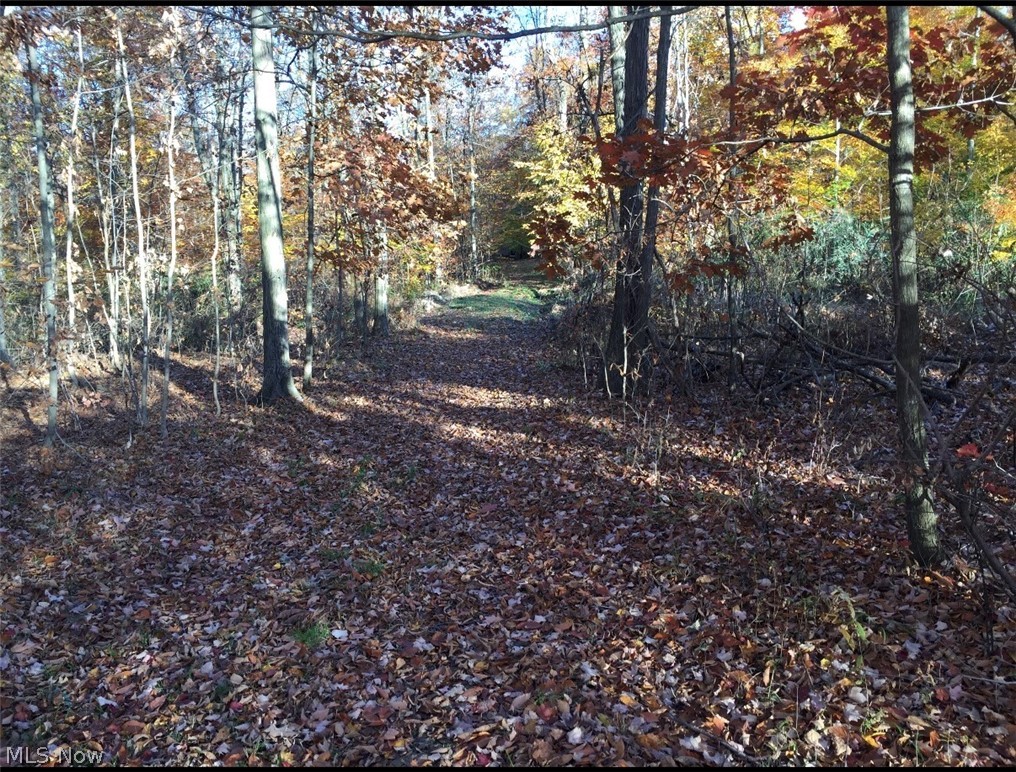 Twp Road 581 Sullivan OH 44880