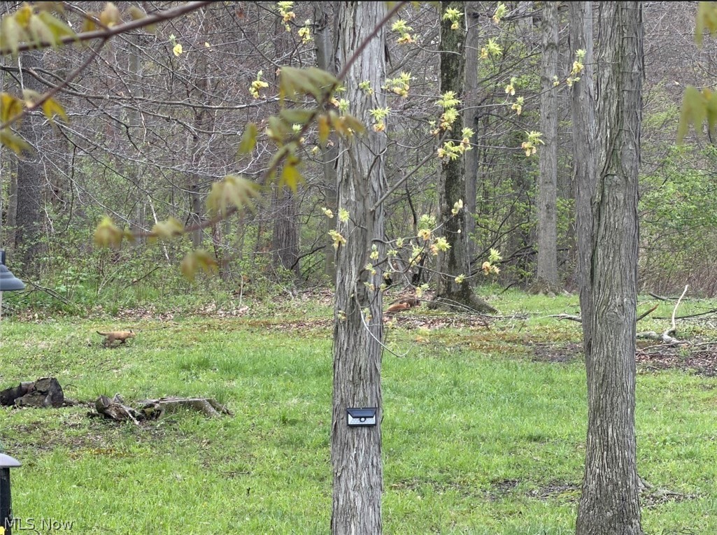 Twp Road 581 Sullivan OH 44880