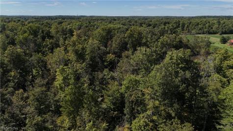 Twp Road 581 Sullivan OH 44880