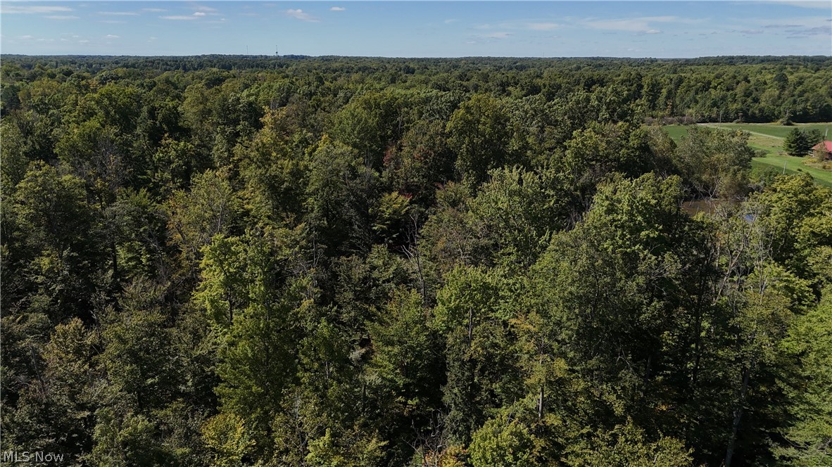 Twp Road 581 Sullivan OH 44880