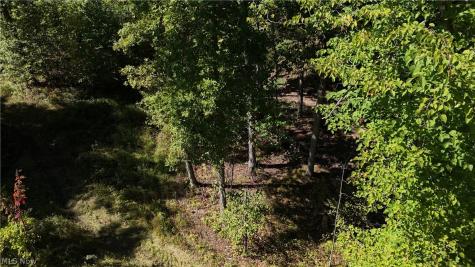Twp Road 581 Sullivan OH 44880