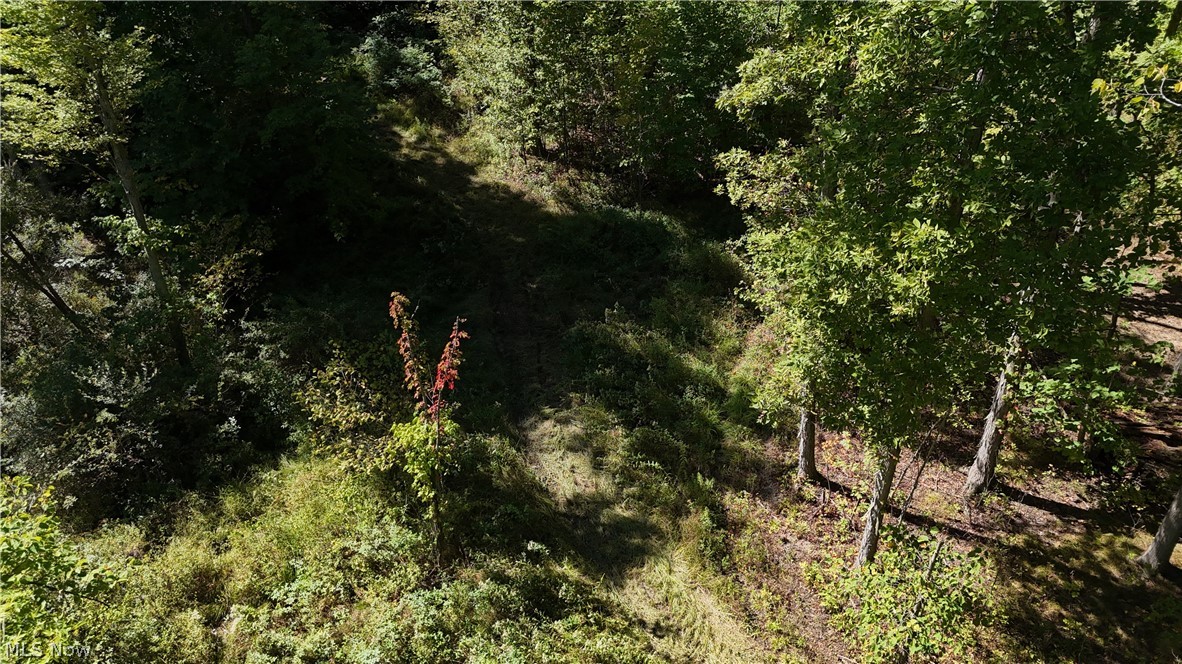 Twp Road 581 Sullivan OH 44880