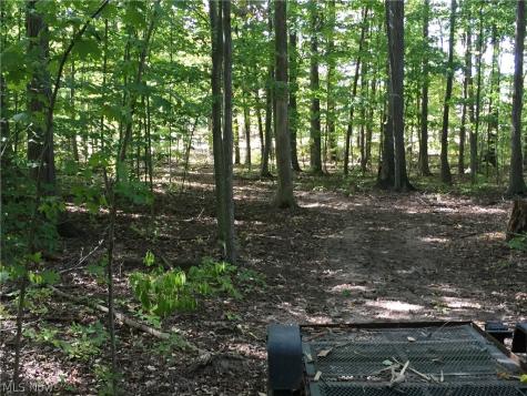 Twp Road 581 Sullivan OH 44880