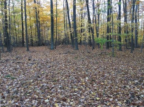 Twp Road 581 Sullivan OH 44880