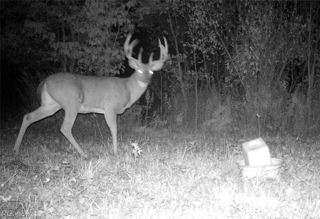 767 County Road 500 Ashland OH 44805