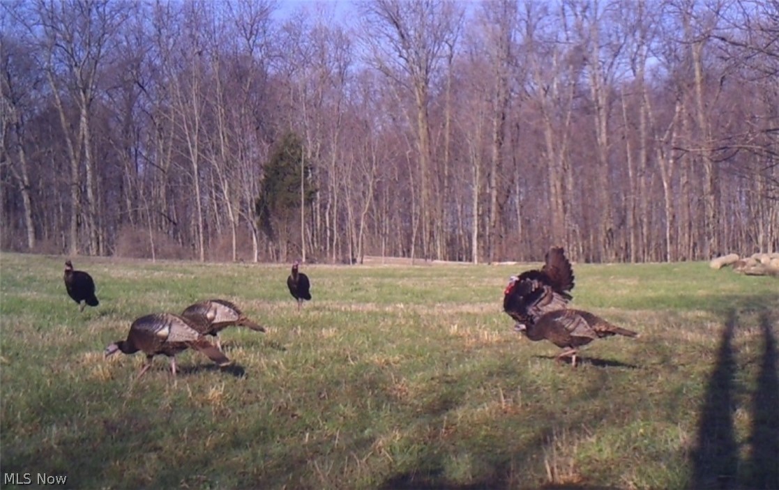 767 County Road 500 Ashland OH 44805