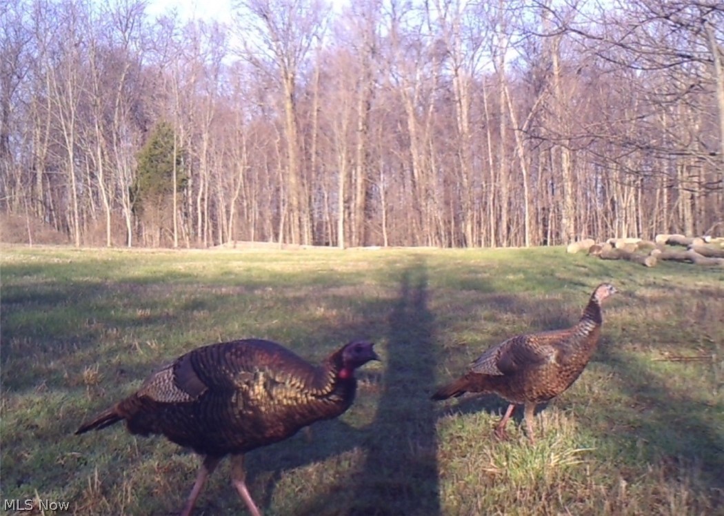 767 County Road 500 Ashland OH 44805