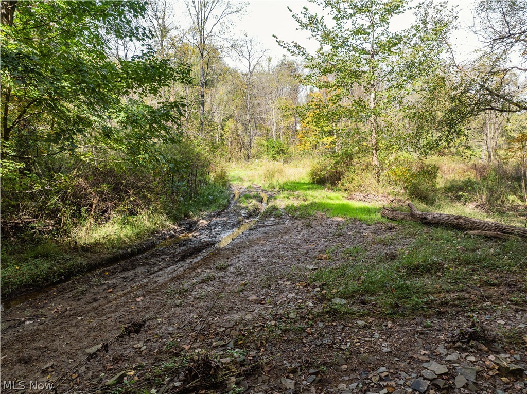State Route 204 Mount Perry OH 43760