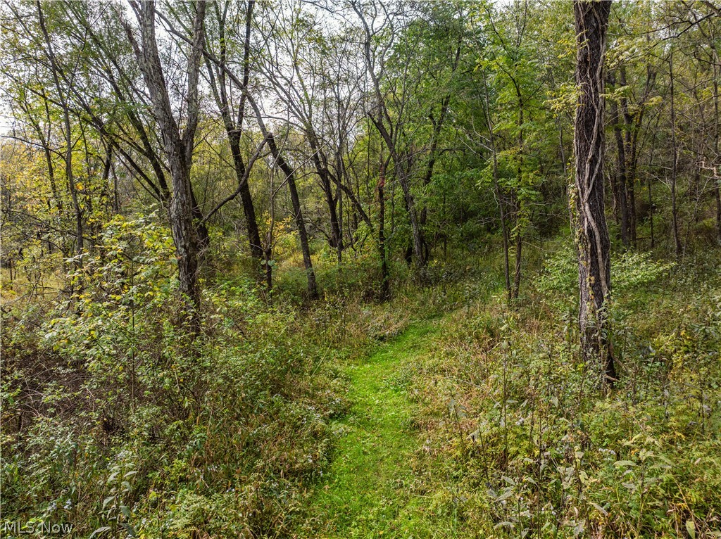 State Route 204 Mount Perry OH 43760