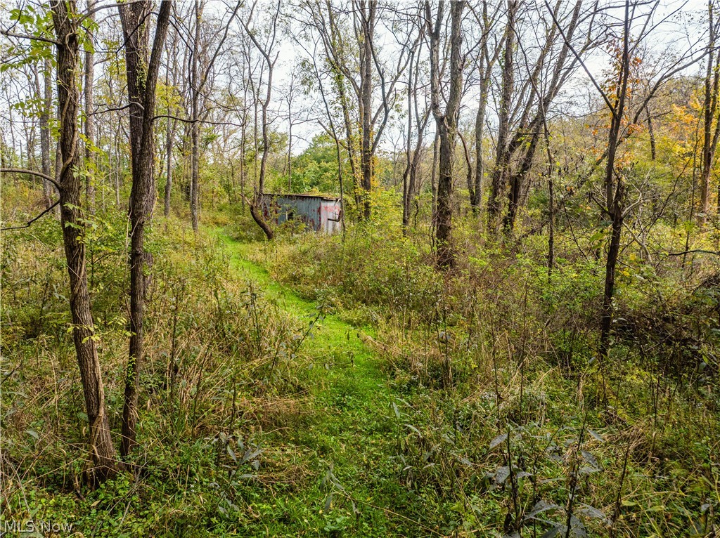 State Route 204 Mount Perry OH 43760