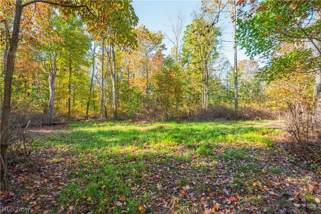 11560 Ralston Road Kimbolton OH 43749