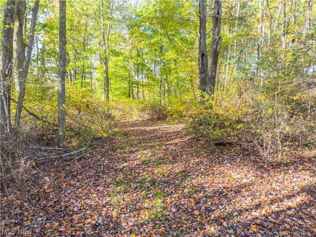 11560 Ralston Road Kimbolton OH 43749