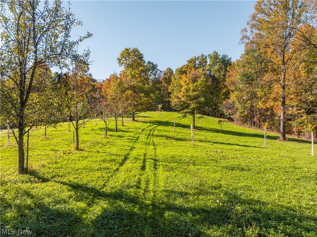 11560 Ralston Road Kimbolton OH 43749