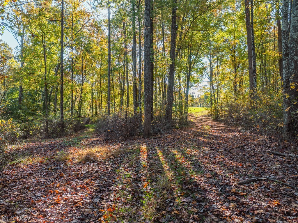 11560 Ralston Road Kimbolton OH 43749