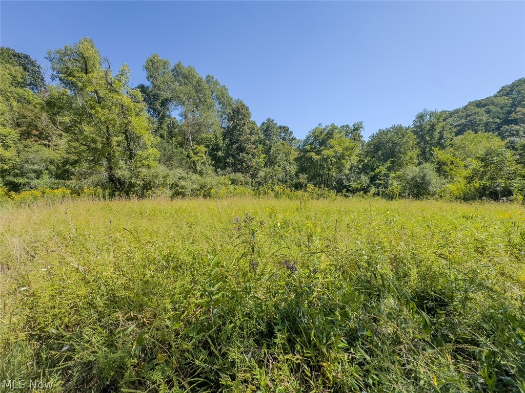 0 Brewer Road Cadiz OH 43907