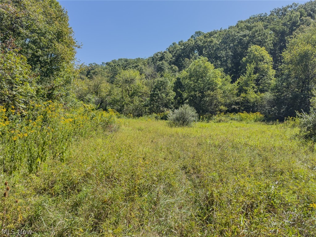 0 Brewer Road Cadiz OH 43907