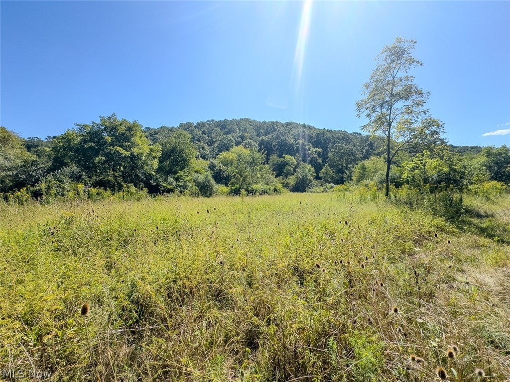 0 Brewer Road Cadiz OH 43907