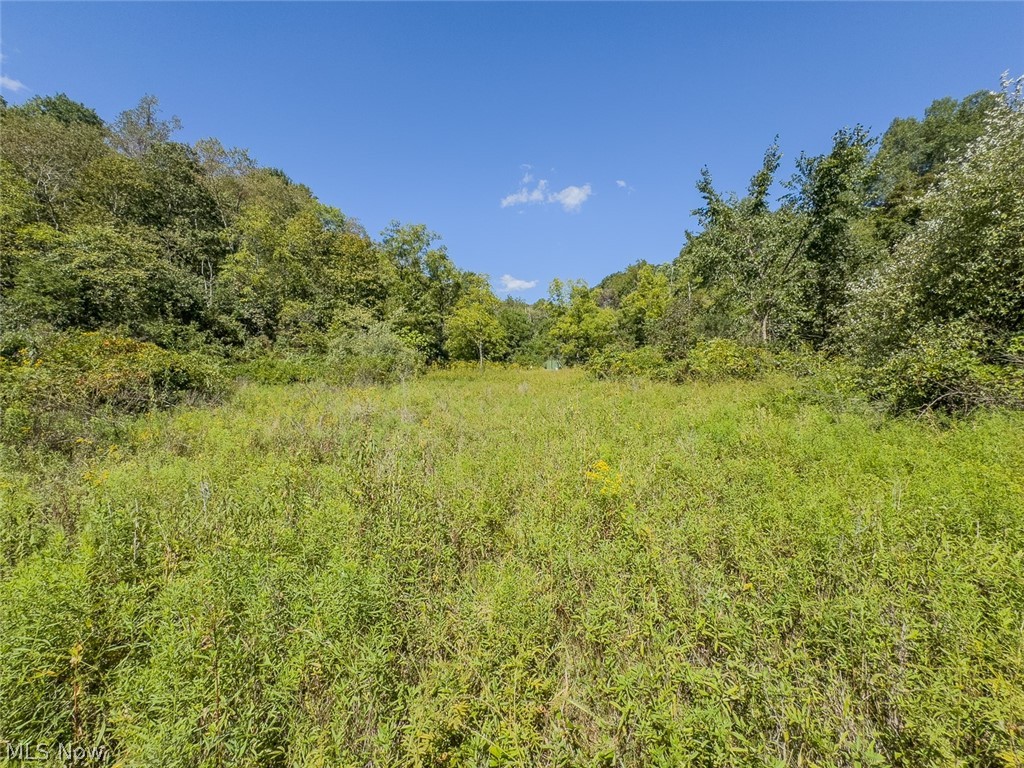 0 Brewer Road Cadiz OH 43907