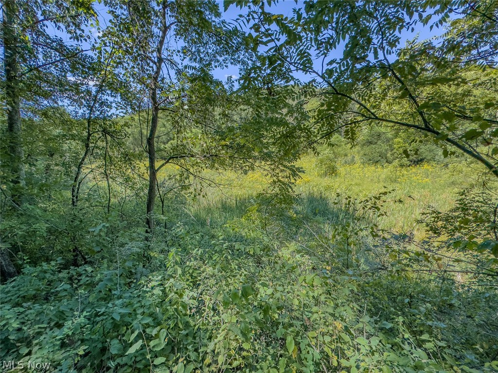 0 Brewer Road Cadiz OH 43907