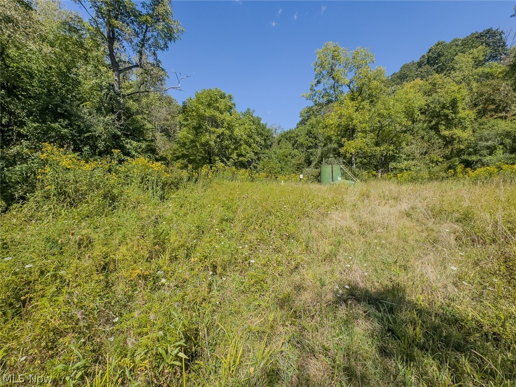 0 Brewer Road Cadiz OH 43907