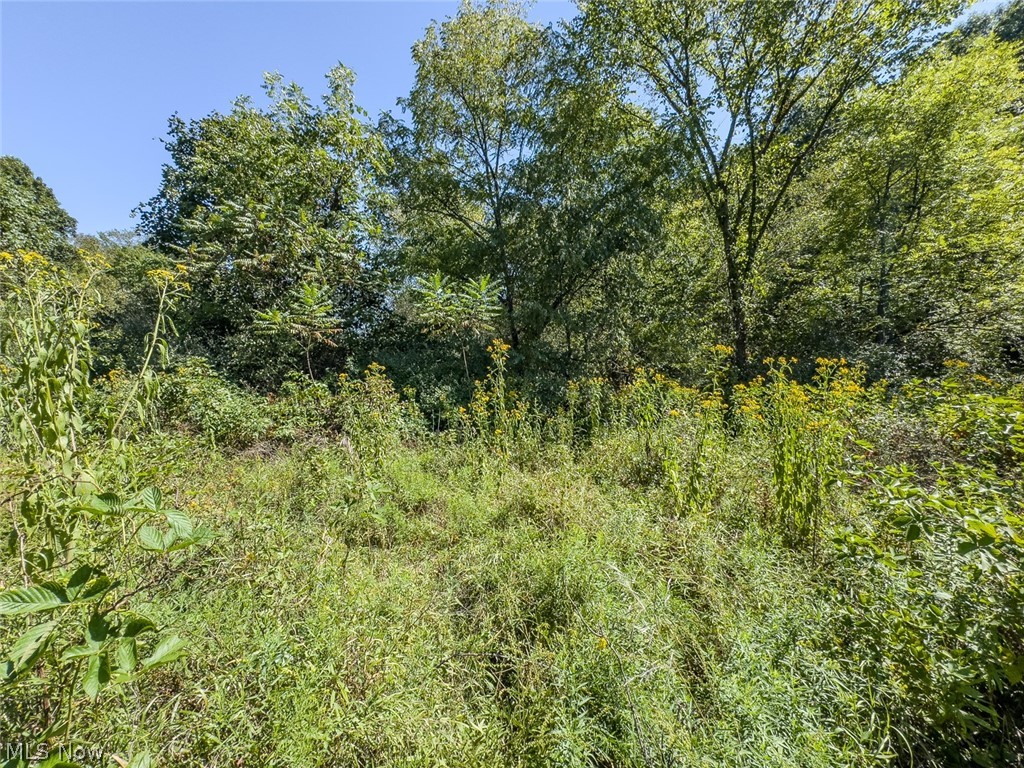 0 Brewer Road Cadiz OH 43907