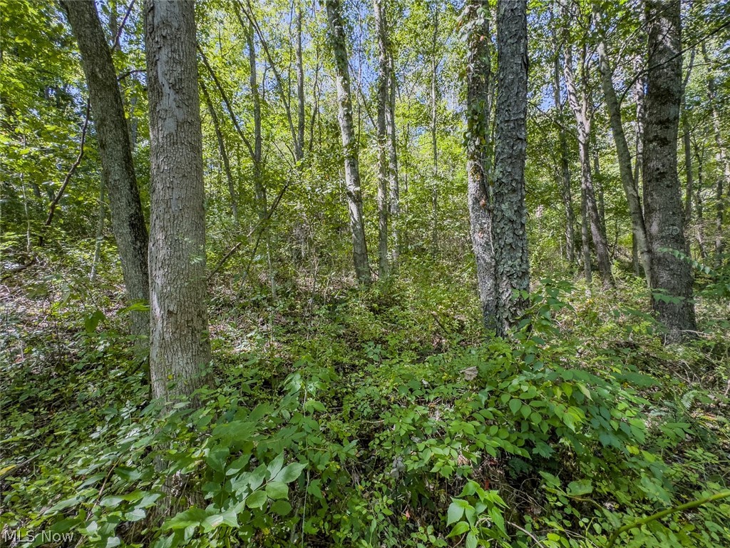 0 Brewer Road Cadiz OH 43907