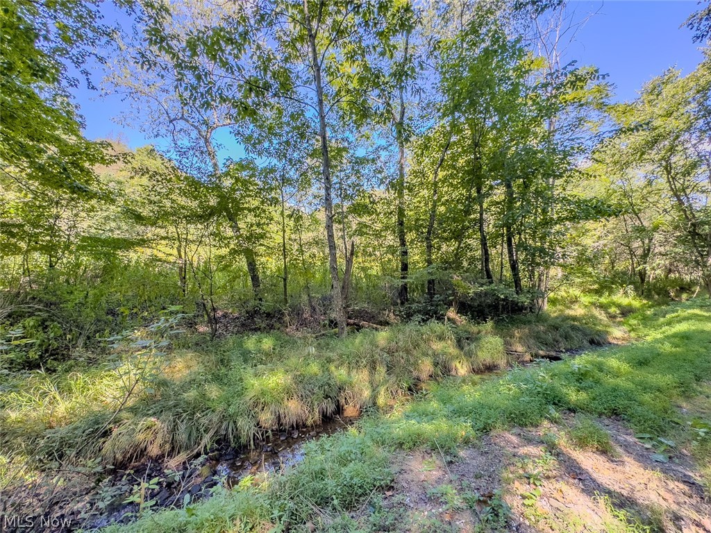 0 Brewer Road Cadiz OH 43907