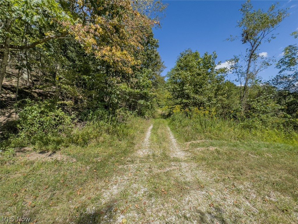 0 Brewer Road Cadiz OH 43907