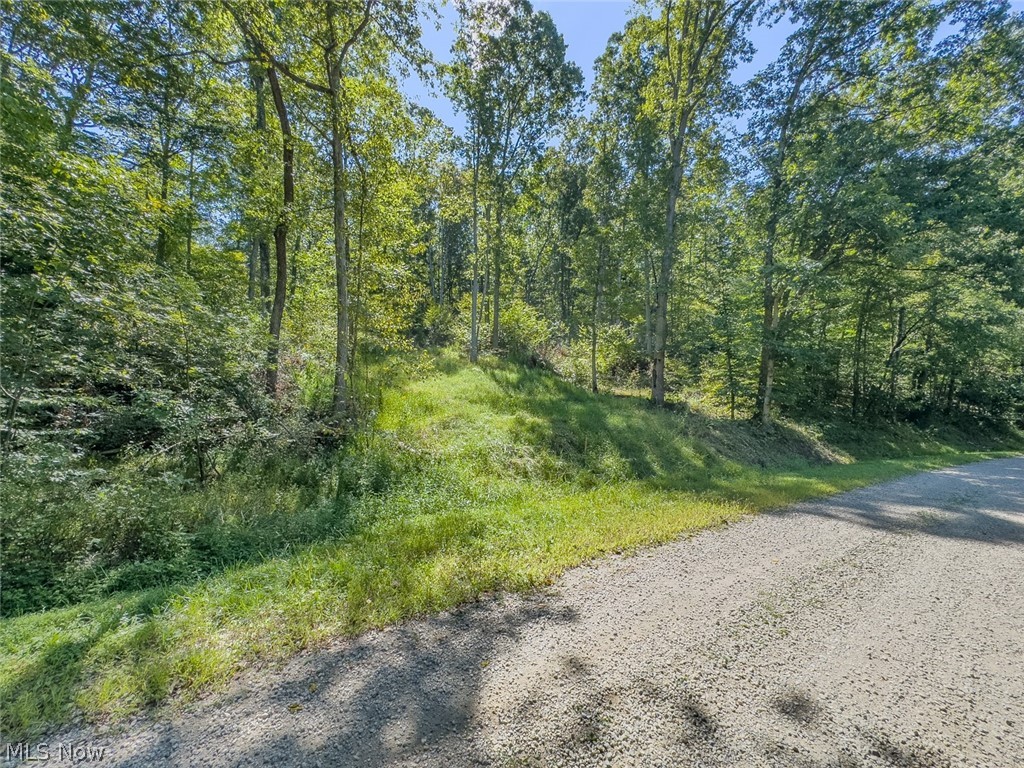 0 Brewer Road Cadiz OH 43907