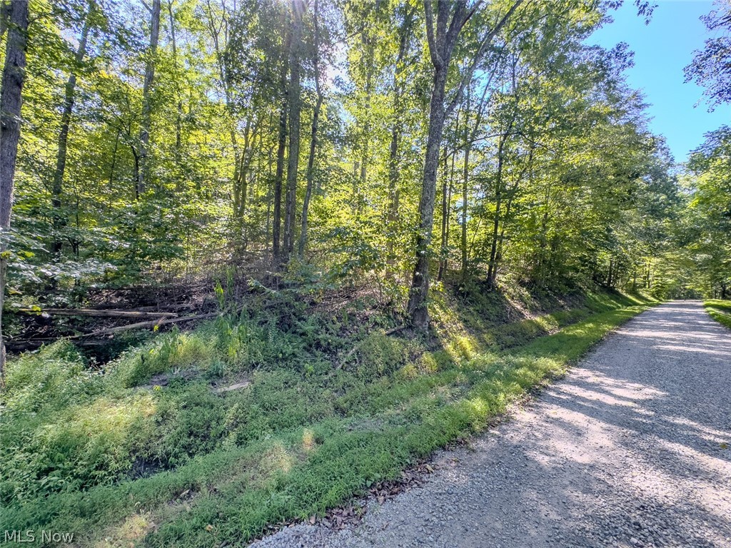 0 Brewer Road Cadiz OH 43907