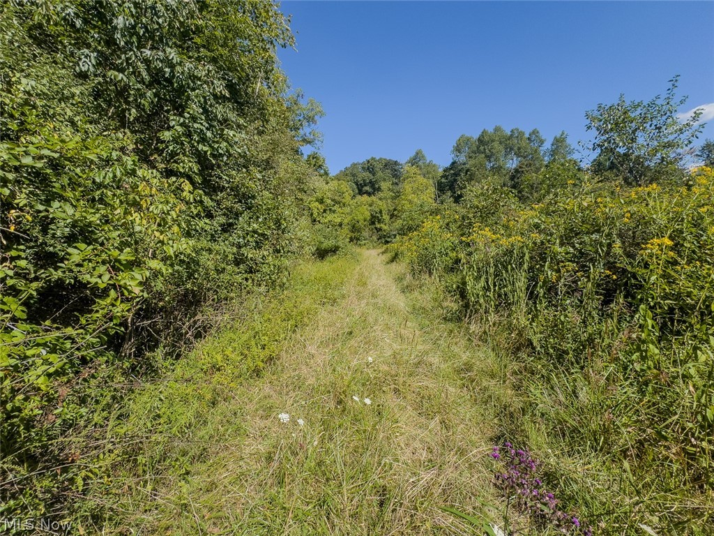 0 Brewer Road Cadiz OH 43907