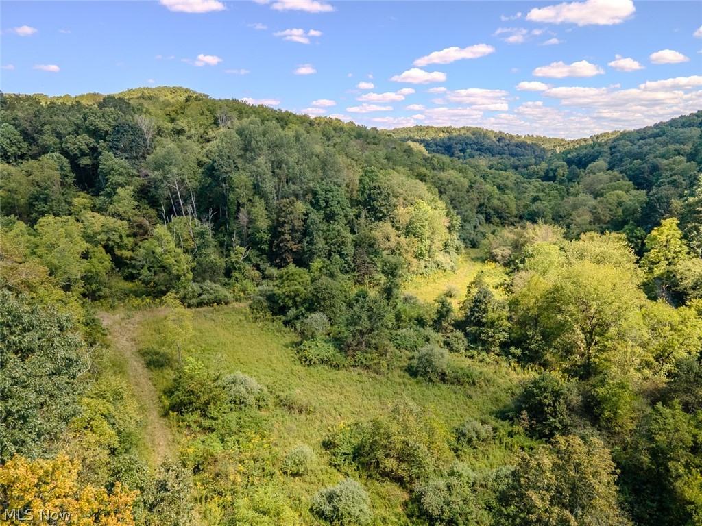 0 Brewer Road Cadiz OH 43907