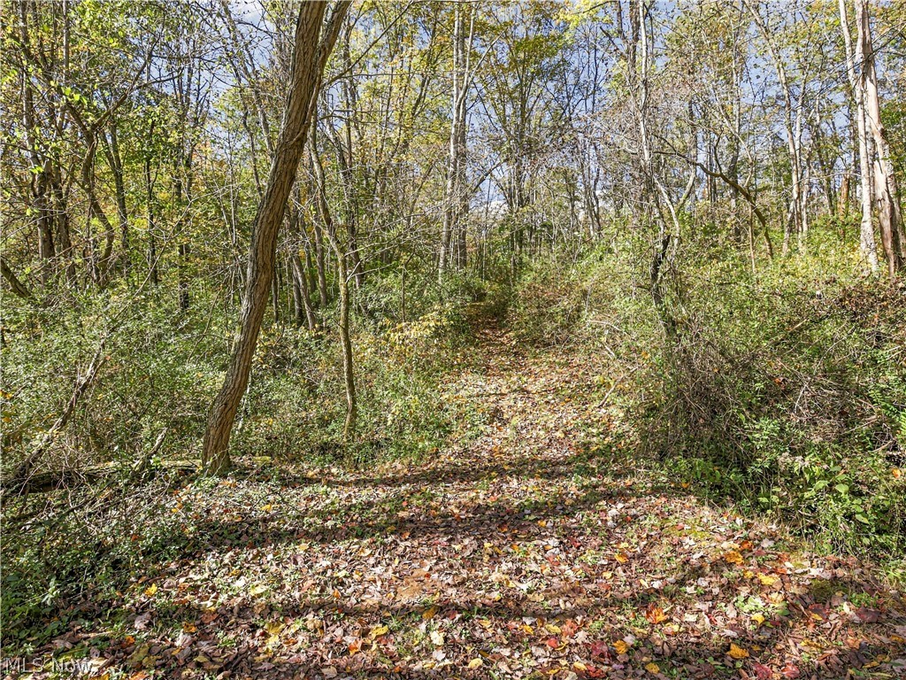 6167 County Road 14 Corning OH 43730